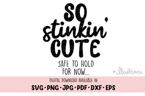 Review: So Stinkin Cute Svg for Baby Embroidery